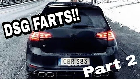 BEST OF DSG FARTS Part 2 (MUST WATCH)