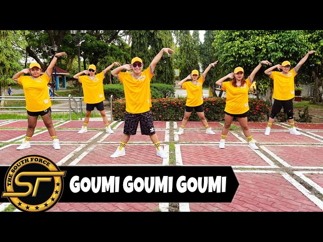 GOUMI GOUMI GOUMI ( Dj Danz Remix ) - Dance Trends | Dance Fitness | Zumba class=
