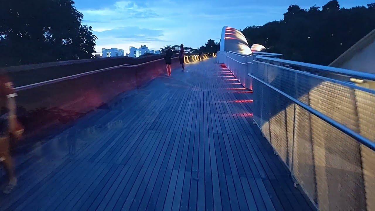 Henderson Waves Day and night, drone view to Mt Faber Night Walk. 