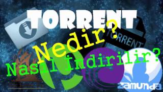 İnternetten Oyun / Film / Dizi İndirme | Torrent Nedir? | Nasıl İndirilir? | En İyi Torrent Siteleri Resimi