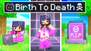 Birth To Death Of A Hacker In Minecraft