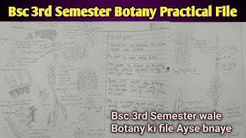 Bsc 2nd Year 3rd Semester Botany Practical File || Botany ki Practical File Ayse Bnaye Bsc Wale 📂