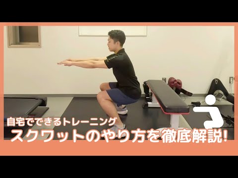 自宅でトレーニング】スクワットのやり方を徹底解説！ - YouTube