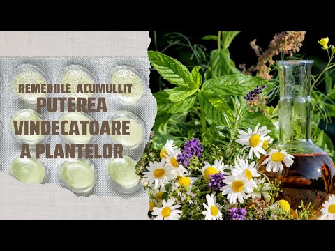 Video: Limitările Terapeutului Ca Posibilă Resursă