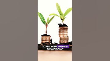 Grow Your Business Organically With Airbnb CEO Brian Chesky