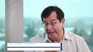 The initiatives Dr.  Nigrini took to innovate Benford