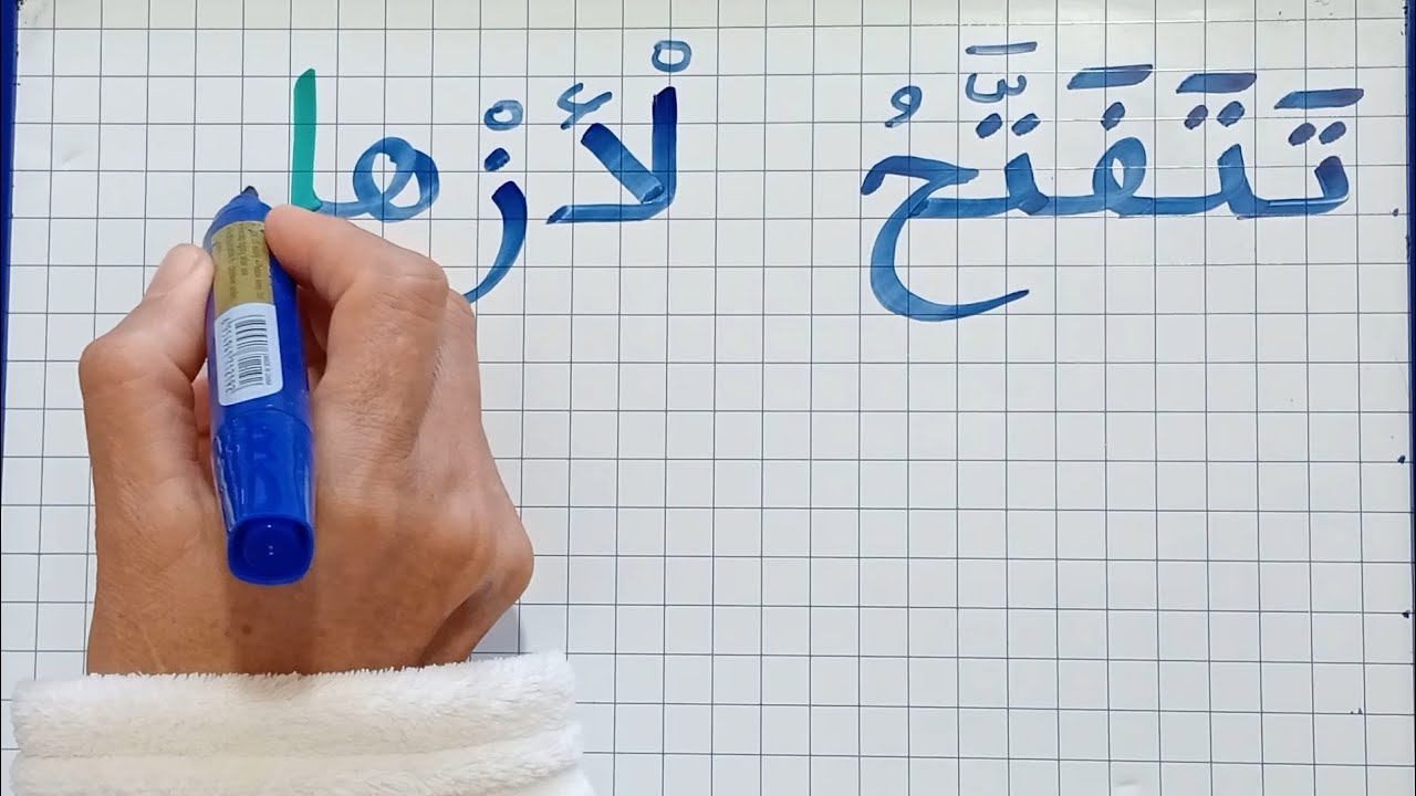 دروس في الإملاء للمبتدئين 