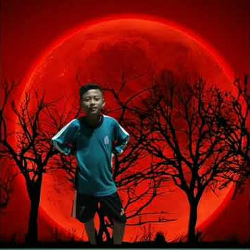 PRESET CAPCUT 30 DETIK DJ LAGU PINGUIN`•