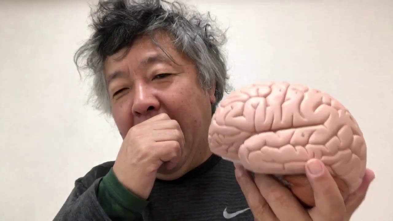 日本の入試が脳の育みから見て最低な理由。