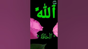 سورة الحاقة من روائع القارىء هلويست نصرالدين .