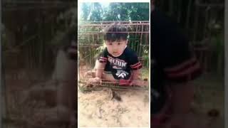 BUDAK (KUCING) TERPERANGKAP DALAM SANGKAR by Black Rauga 961 views 5 years ago 1 minute, 19 seconds