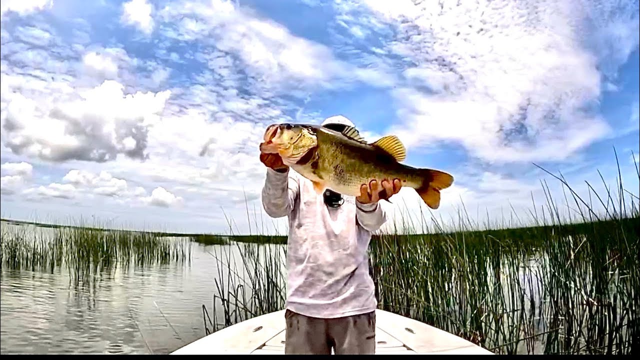 Why April and May are my FAVORITE months to Bass fish!