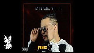 FENIX - Brasil (Audio Oficial)