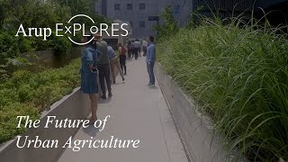 Arup Explores: The Future of Urban Agriculture