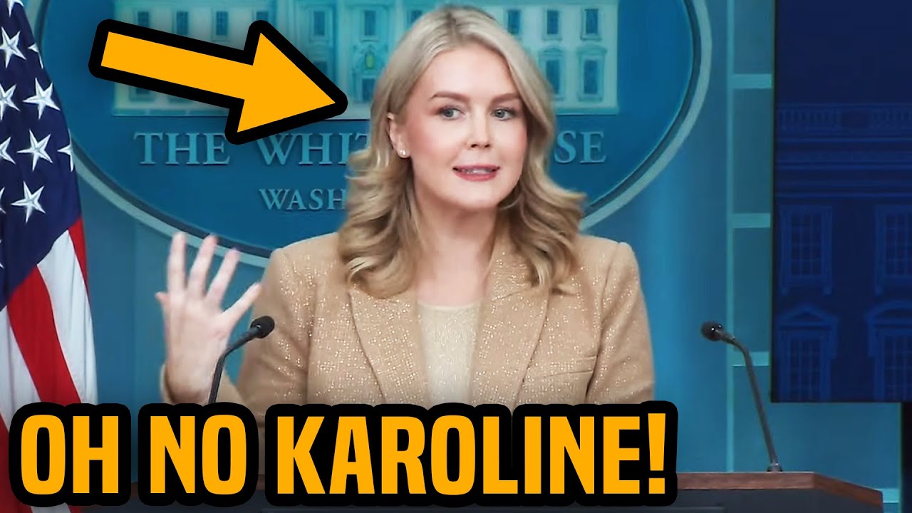 Karoline Leavitt ADMITS TO THE WHOLE THING