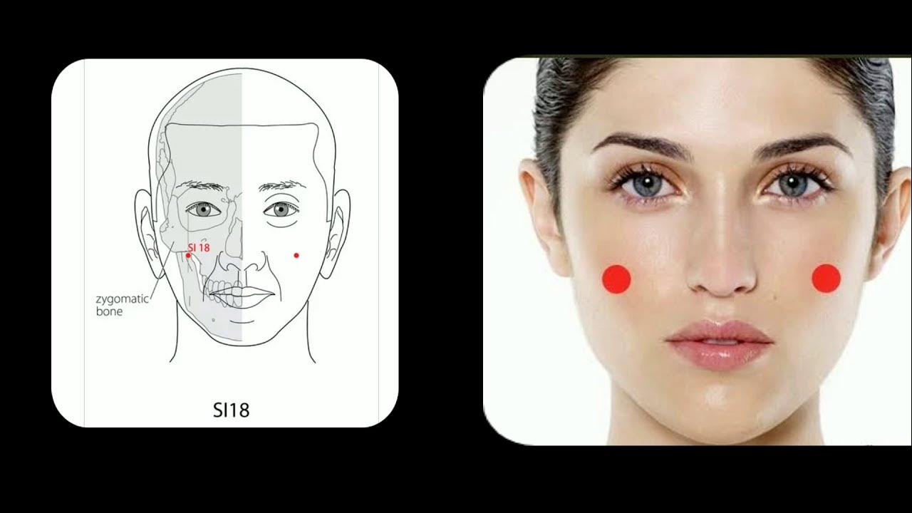 Si18 Acupuncture Point Facial Paralysis Facial Tic Trigeminal