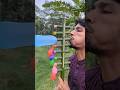Amazing new but big bamboo creation and Eight colorful balloon🎈 pops #bamboo #edit #funny #art #cute