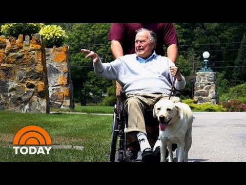 Video: George HW Bush's Dog