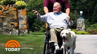 Inside George H.W. Bush’s Special Bond With Service Dog Sully | TODAY