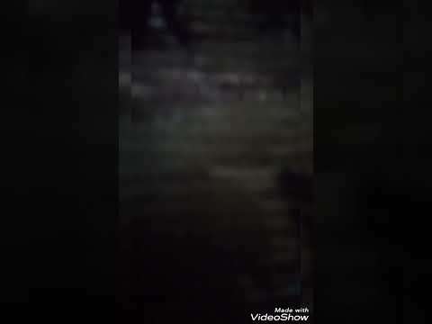 خطوات جنية إنسية تتبعني بطرق غريبة في الخفاء شوهة مشعوذة الأعراس في طنجة المغرب خطتكي في2015فاشلة خطوات جنية إنسية تتبعني بطرق غريبة في الخفاء شوهة مشعوذة الأعراس في طنجة المغرب خطتكي في2015فاشلة