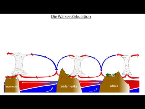 Erdkundeanimationen für Lehrer: Die Walker-Zirkulation  @Marcohenner