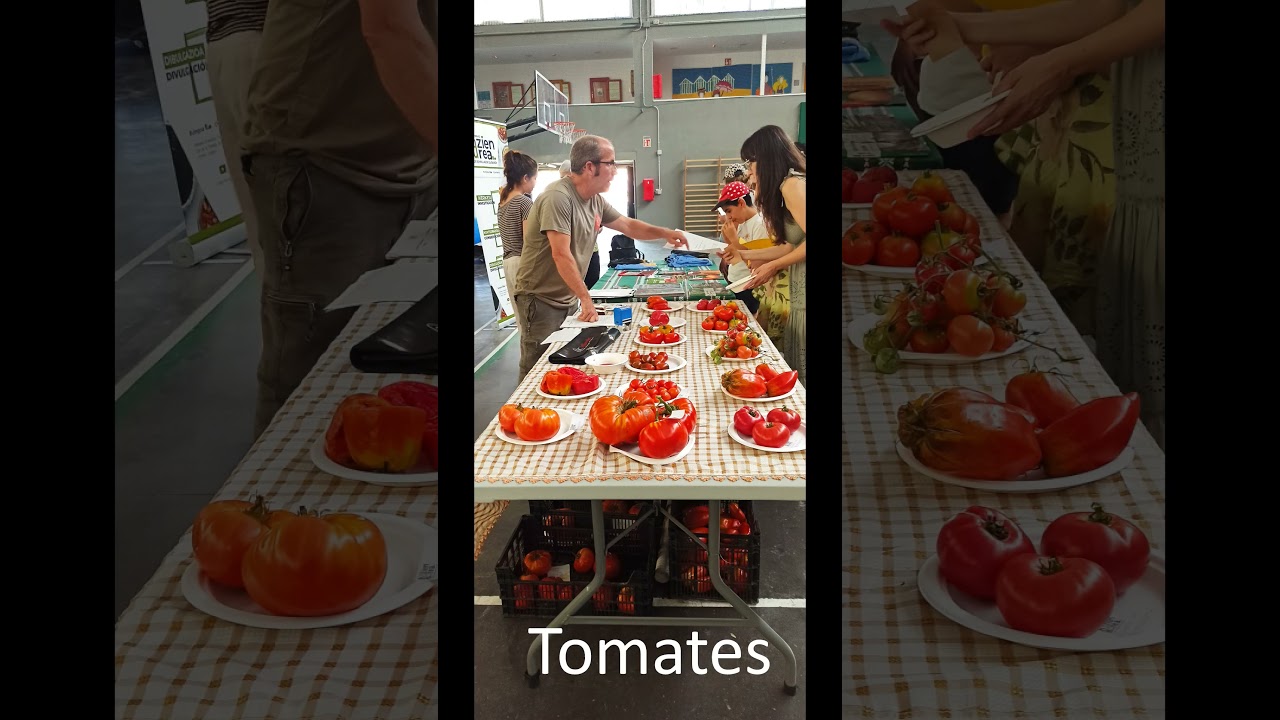 II Feria del Tomate Antiguo de Elburgo