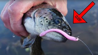 How To Fish Plastic PINK WORMS To Catch Trout! (EASY & EFFECTIVE!!)