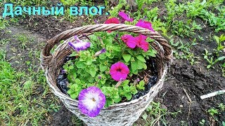 Дачный влог. Дачный влог.