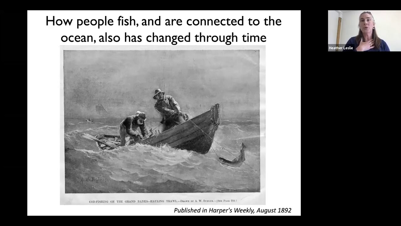 Maine Public’s Age of Nature Lecture Series: Maine’s Ocean