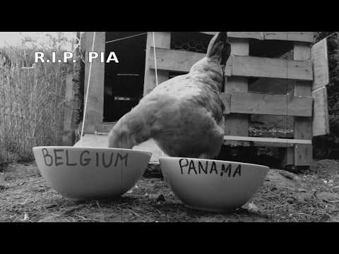 Repose en paix, Pia :'(