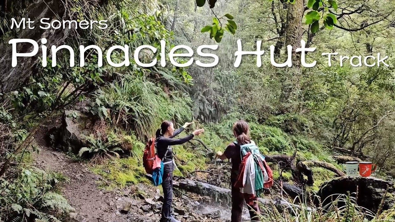 New Zealand _ Mt Somers Track to Sharplin Falls, Pinnacles Hut