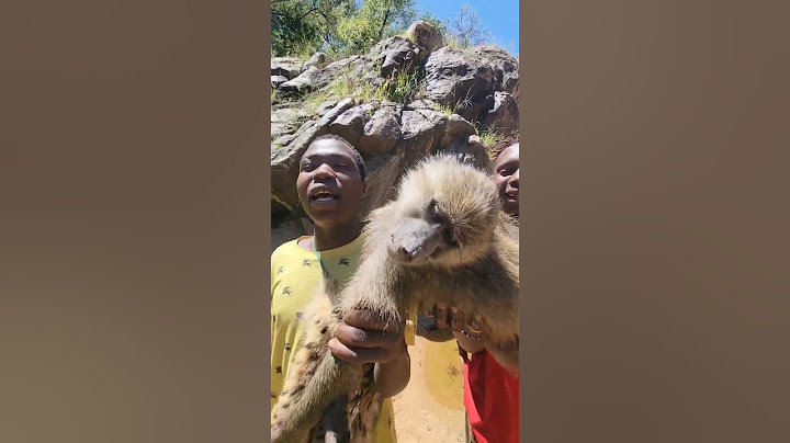New💯 The Hadzabe found a baboon #eatingmeat