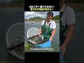 竹かごを一振りするだけ! 驚きの大漁劇が始まる!