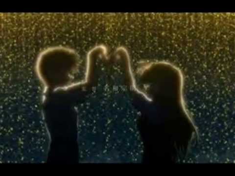 Fortune Arterial Amv