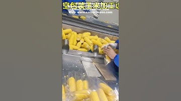 Fresh Sweet Corn Vacuum Packing Machine for Sale