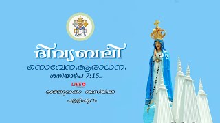 Holy Mass,Novena,Adoration Live @7.15AM Saturday18/5/24 From Basilica Of Our Lady Of Snow, Palliport