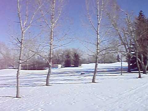 Rene cross-country skiing at Shaganappi