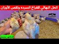 أسباب وعلاج نقص الأوزان في الفراخ البيضاء وعلاج الفراخ السرده خلال يومين 