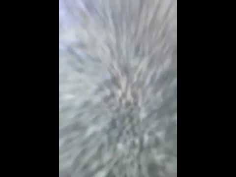 الشيخ إبراهيم المعلم وهو يدرس القراءات العشر الكبري من طريق الطيبة