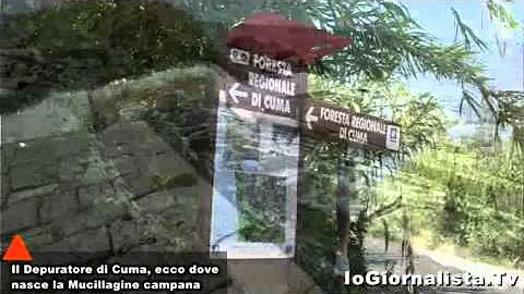 Come si chiama la fine del fiume?