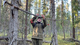 видео: Как добывать дичь без ружья. Дедовский способ работает. Удачный выстрел. картинка: Как добывать дичь без ружья. Дедовский способ работает. Удачный выстрел.