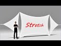 How to sew stretchy fabric  sewing stretch fabric  twin needle sewing