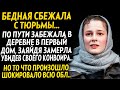 💗История до слёз.. Её подставили и посадили на пожизненно... Устроив побег, она не знала что будет..