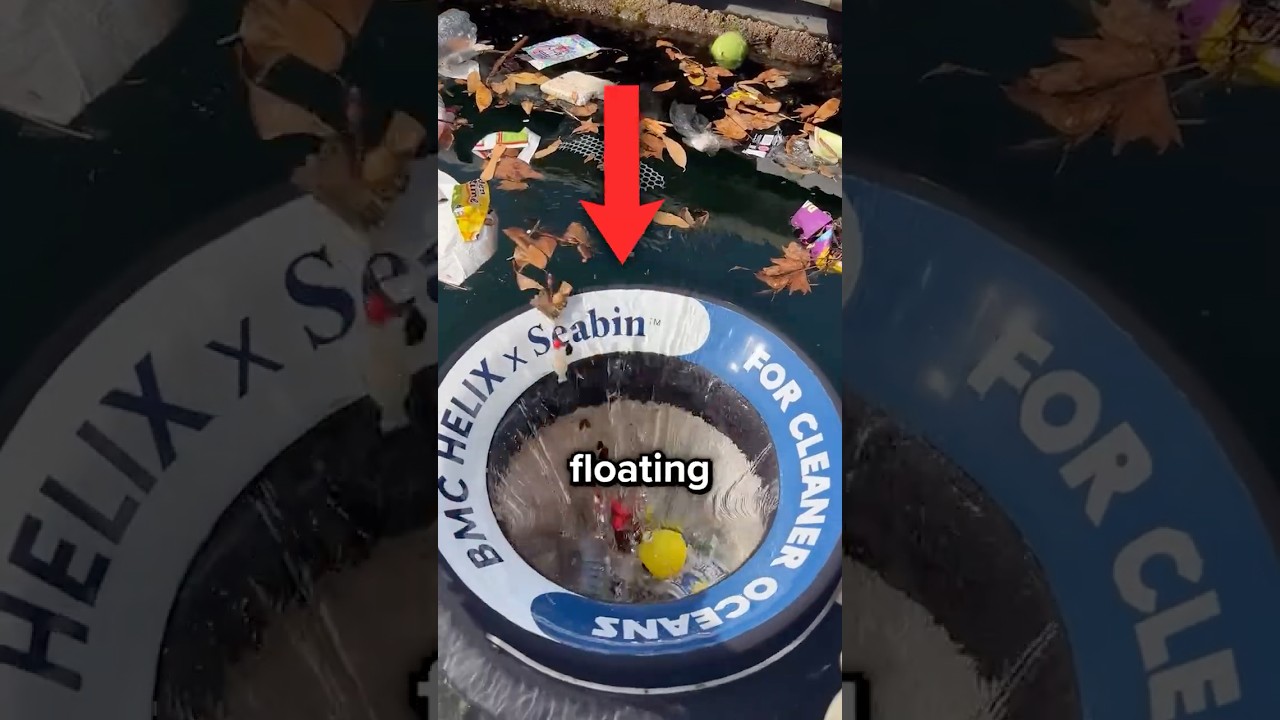 Do Floating Trash Cans Actually Work?