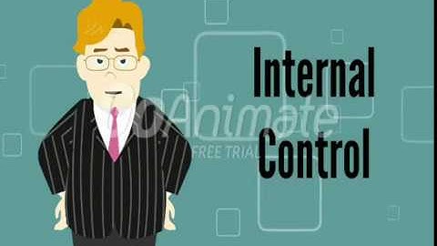 AUD339 - Audit Planning and Fieldwork (Audit Programme, Audit Documentation, Internal Control)