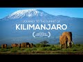 Journey To The Summit Of Mount Kilimanjaro
