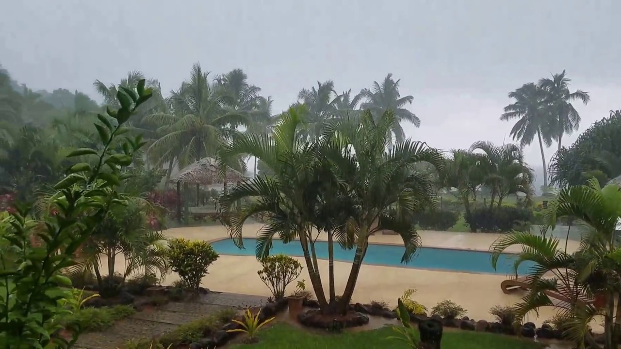 surfing dogs Fijian Rain - Waidroka Bay Resort