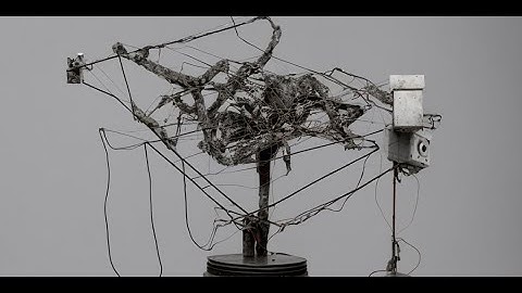 AI Images, Class 11: Exploring the Datasets, Part II