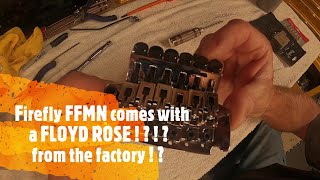 Firefly FFMN comes with a Floyd Rose