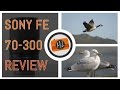 Sony FE 70-300mm f/4.5-5.6 G OSS Review